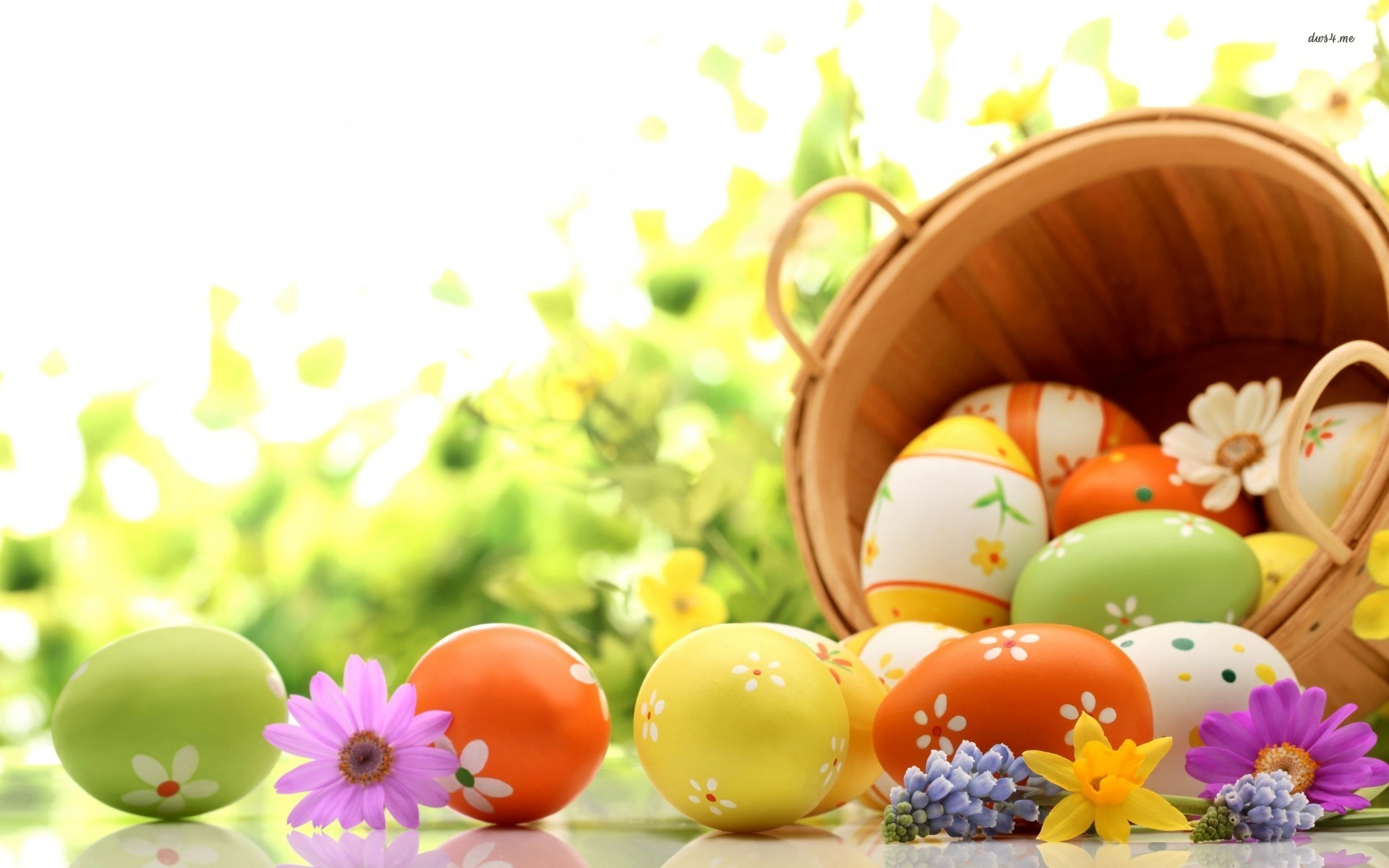 Easter HD Wallpaper Background Image Id