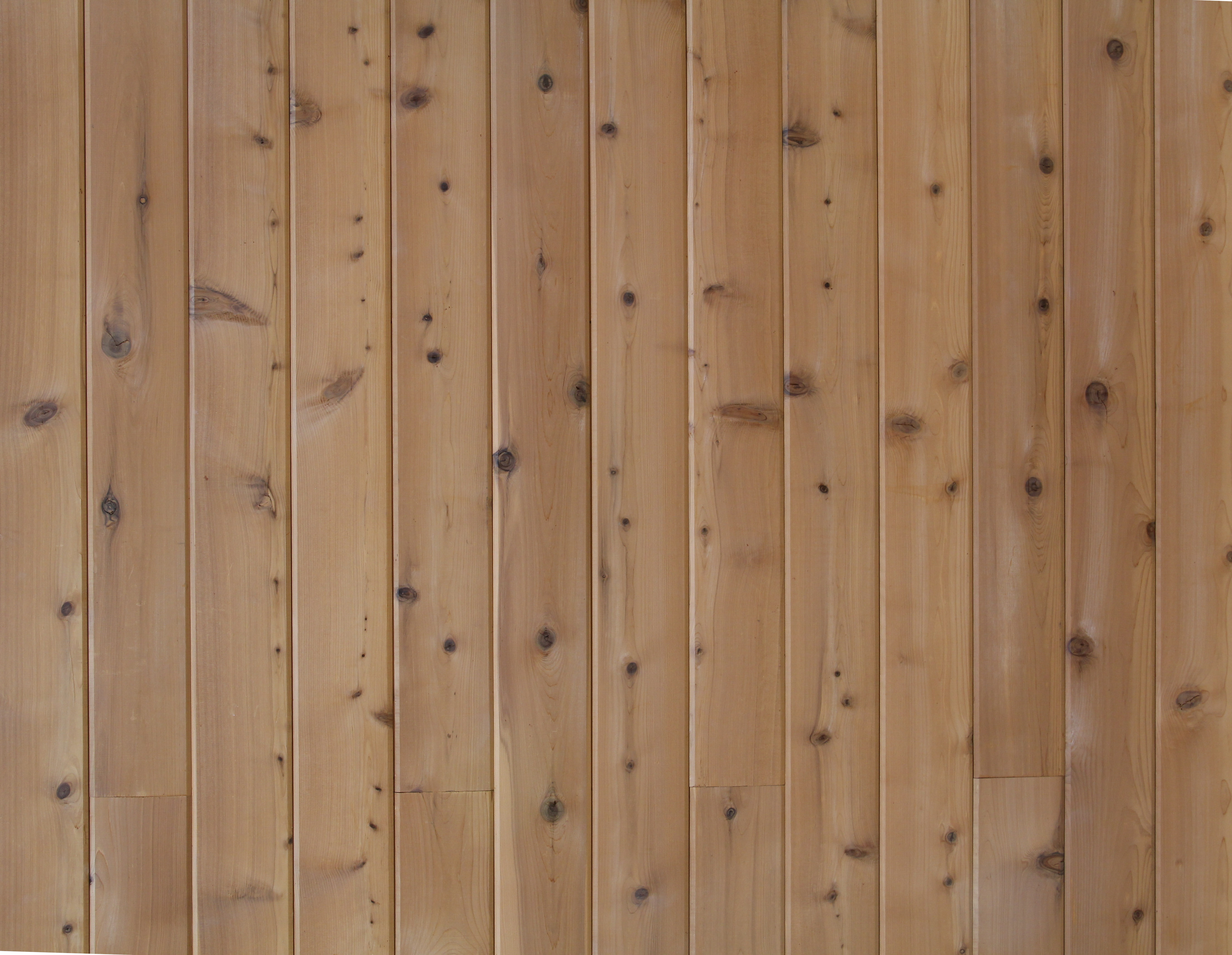 Wood Textures Light Texture Mapel Wall Panel Stock Wallpaper