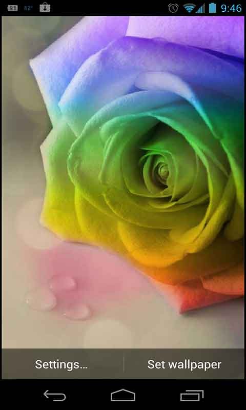Rose Live Wallpaper Android