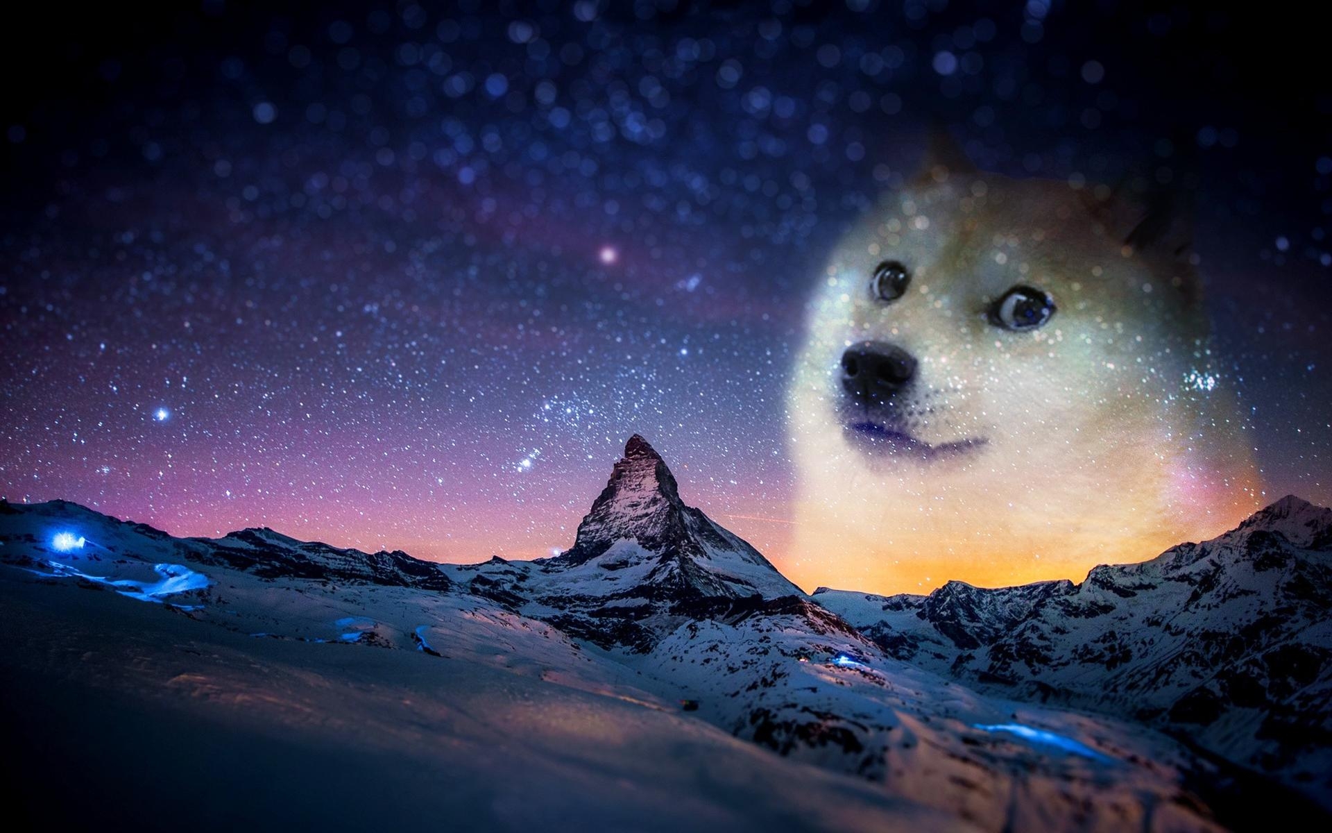 Only Doge without text Doge Wallpaper 1920x1200