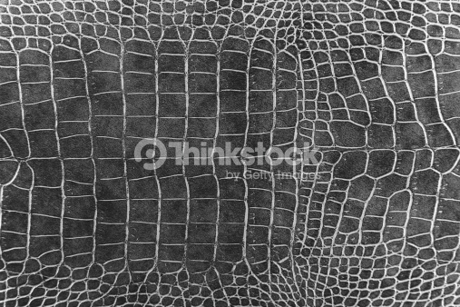 Black Crocodile Skin Texture As A Wallpaper Stock Photo Thinkstock
