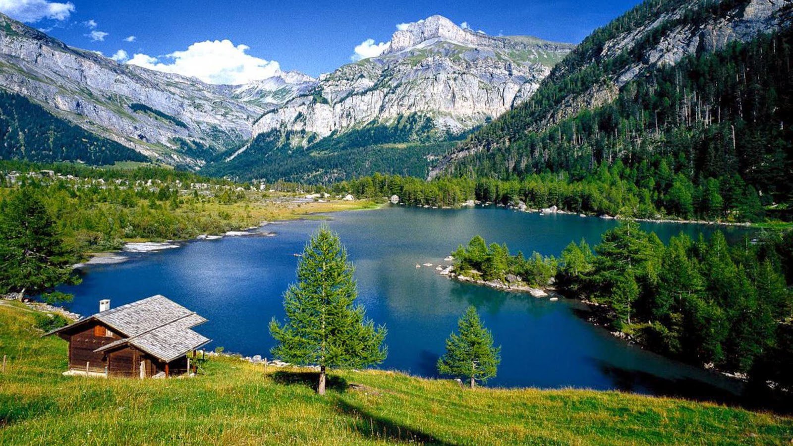 Rocky Mountains Forest With Pine Trees Lake Turquoise Blue Water Wallpaper