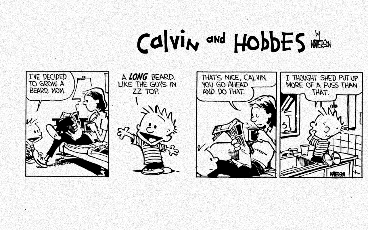 Calvin And Hobbes Zztop Beard Wallpaper