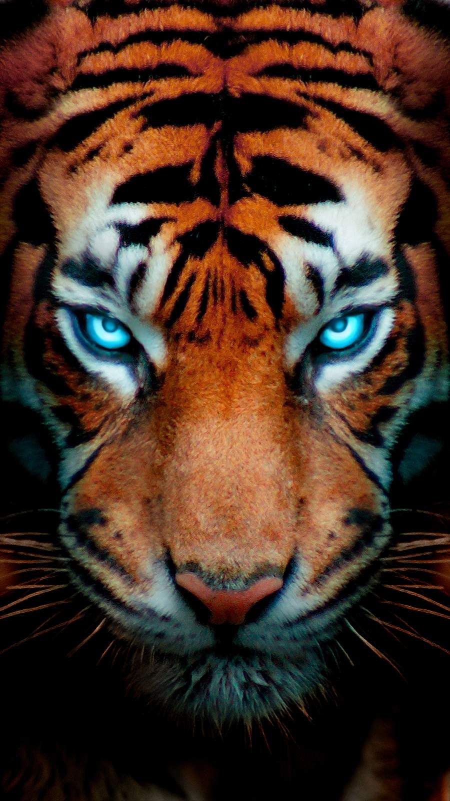 iPhone Wallpaper For X Xr