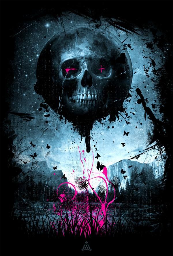 Illustrations By Wilhelm Steiner With Image Skull