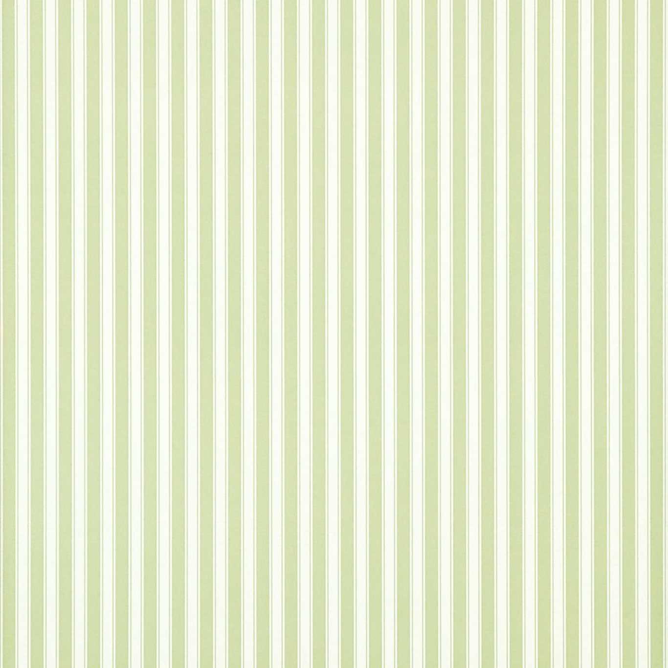New Tiger Stripe Leaf GreenIvory Wallpaper Sanderson by