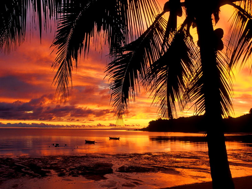 download tropical sunset wallpaper   wwwhigh definition wallpapercom
