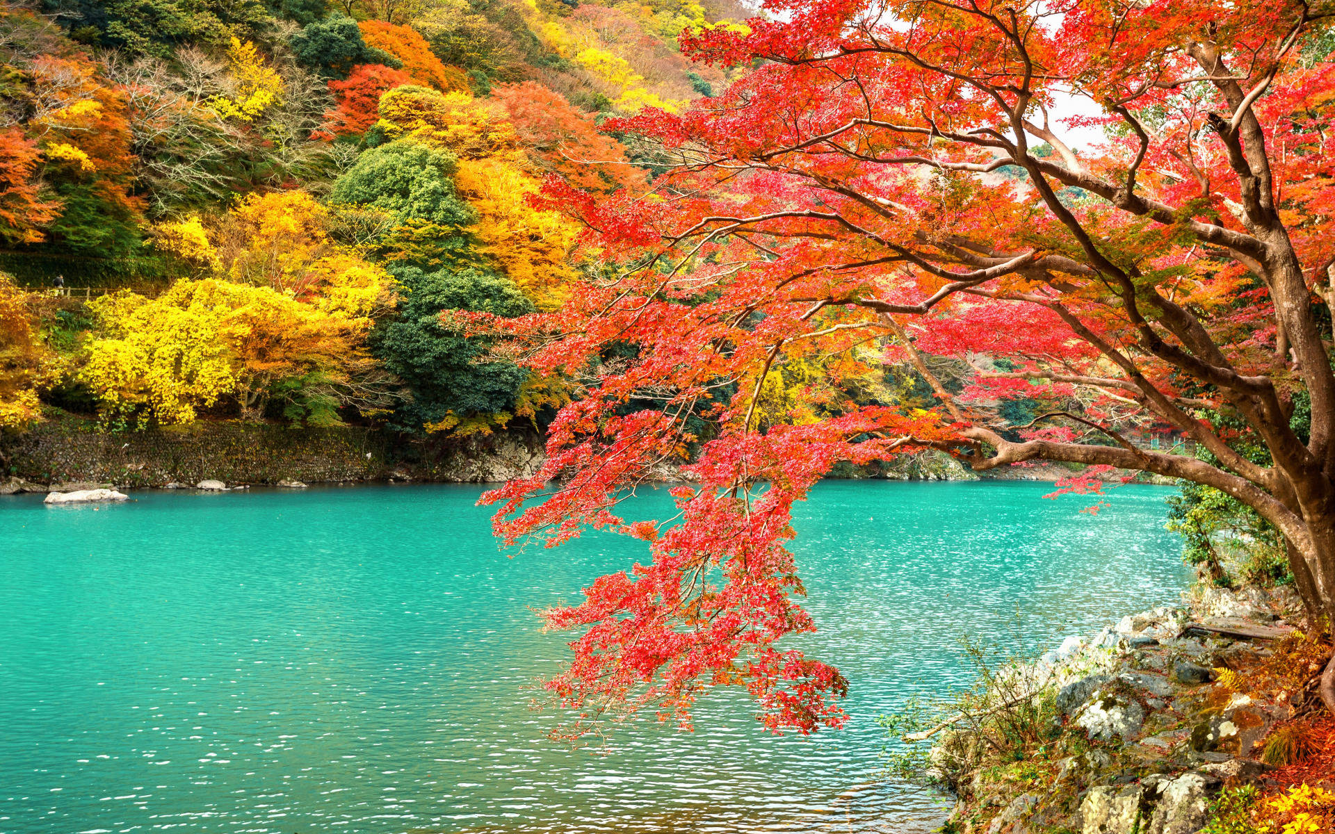 Kyoto Katsuragawa River Y7f674zwjqp7oa30 Wallpaper