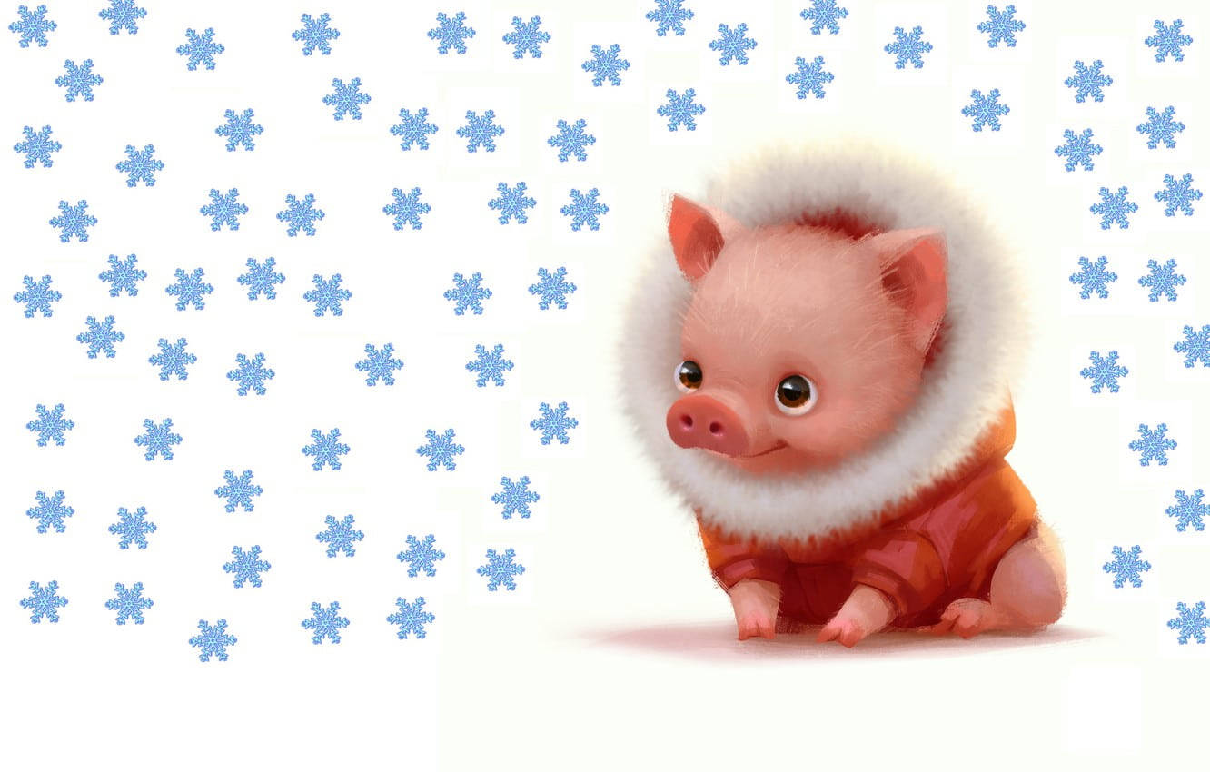 Top Piggy Wallpaper Full HD 4k To Use