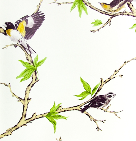 Villa Fioro Wallpaper A Showing High Contrast Golden Birds