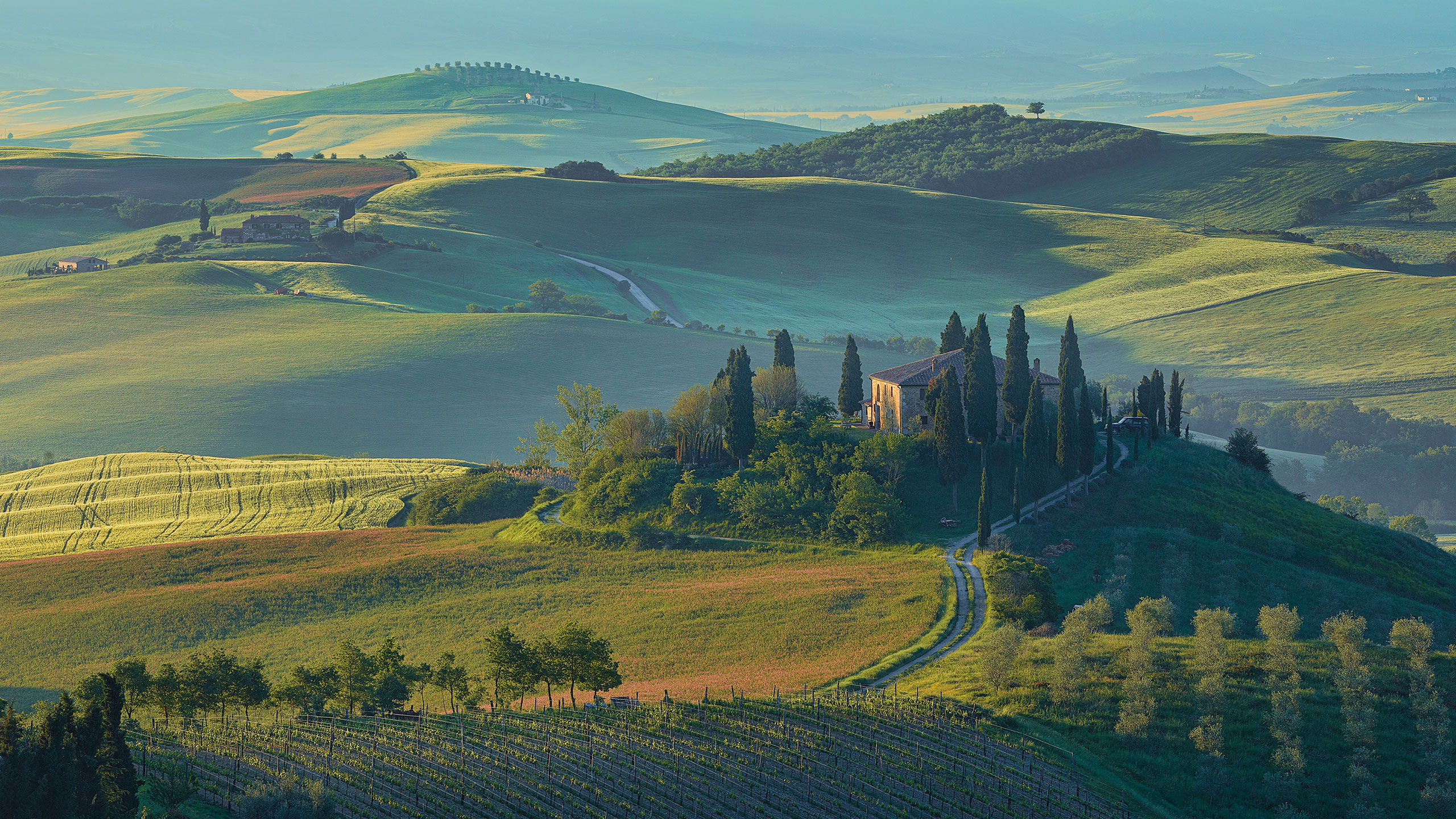 Toscana Wallpaper