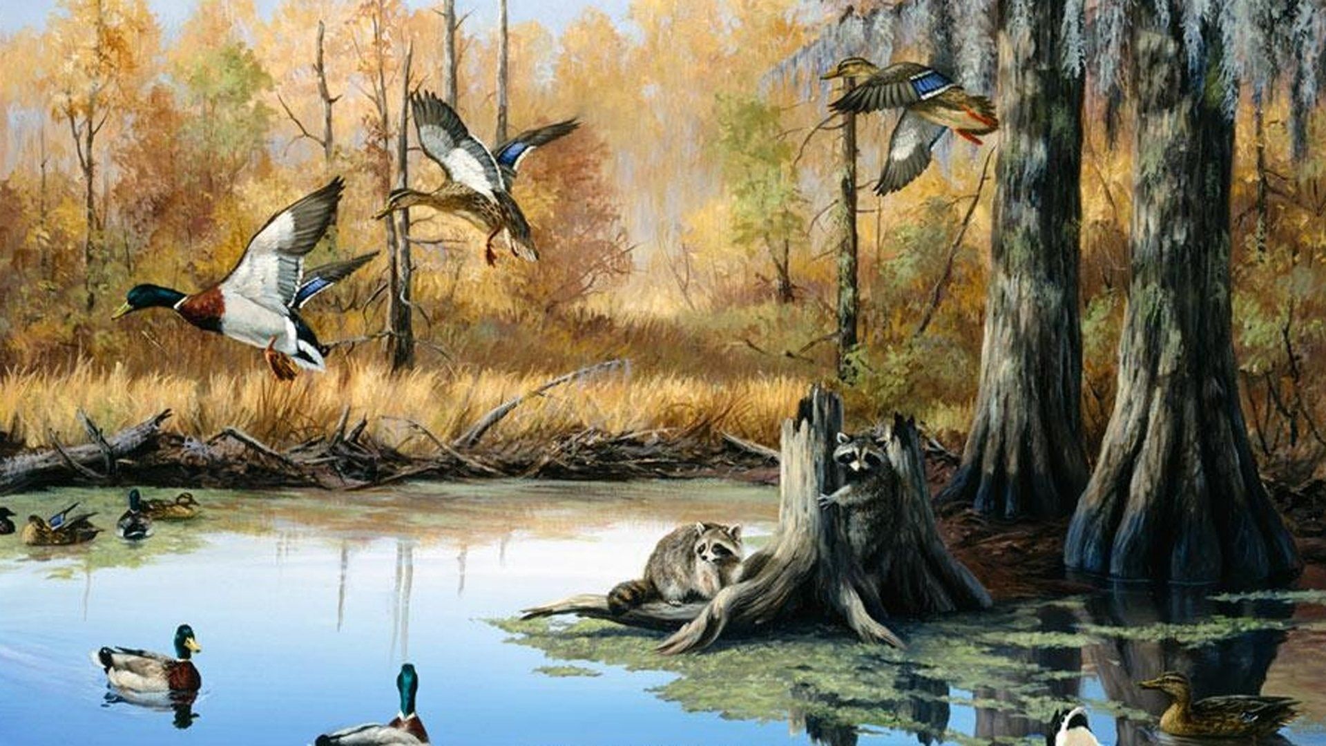 Duck Hunting HD Background Wallpaper Murals Your Way