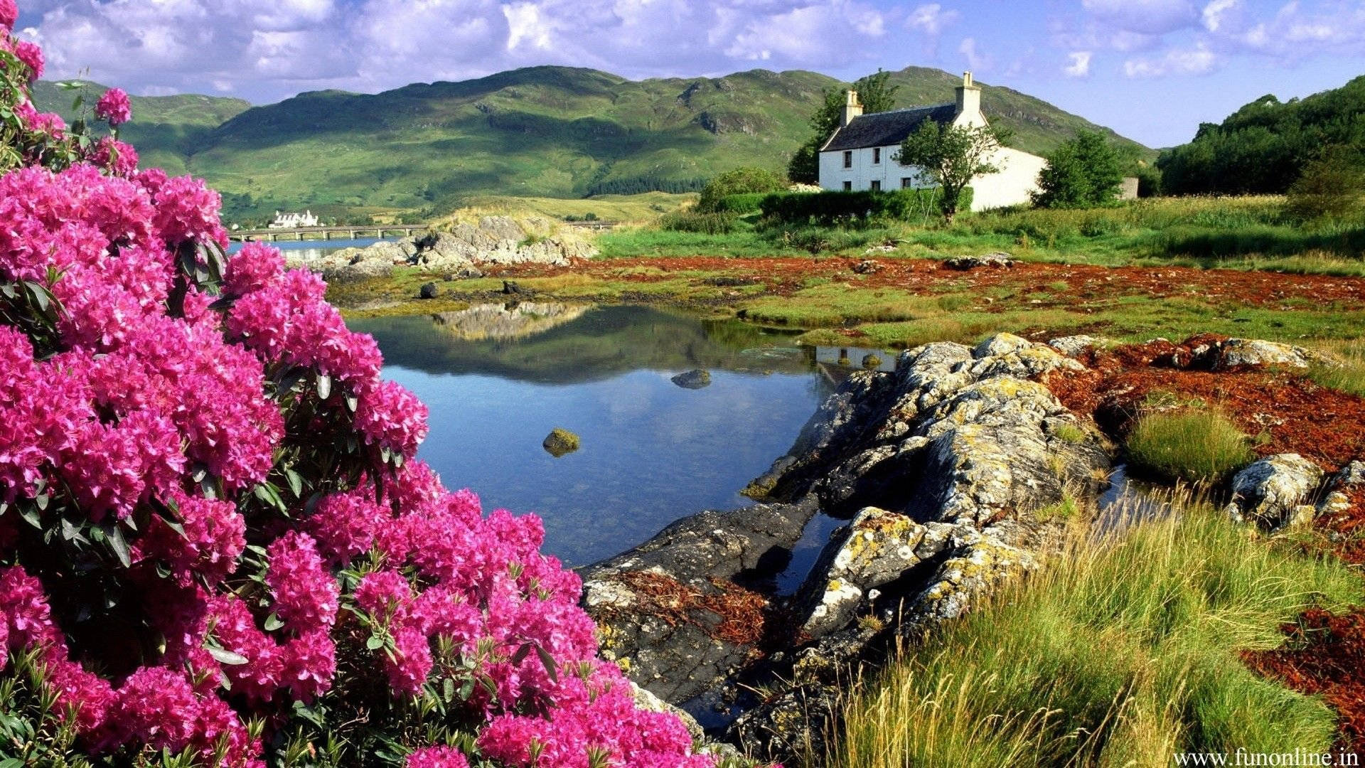Most Beautiful Spring Wallpaper