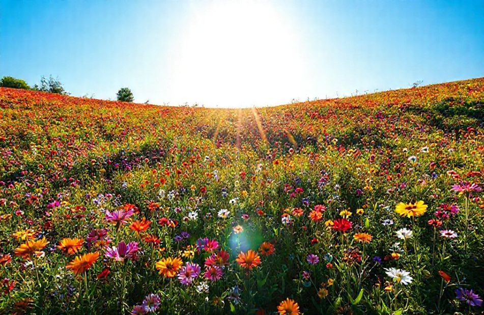 Positive Vibes Wallpaper