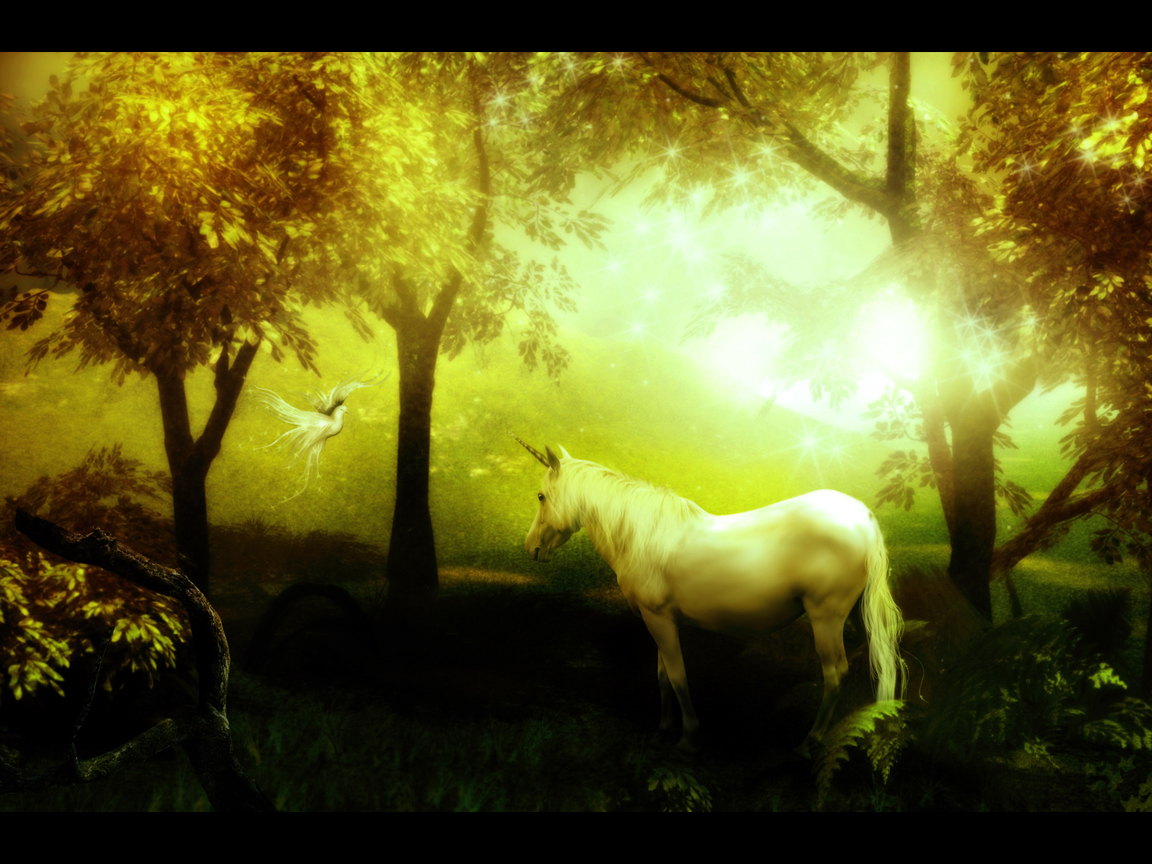 Unicorn in the forest   Fantasy Wallpaper 1225166