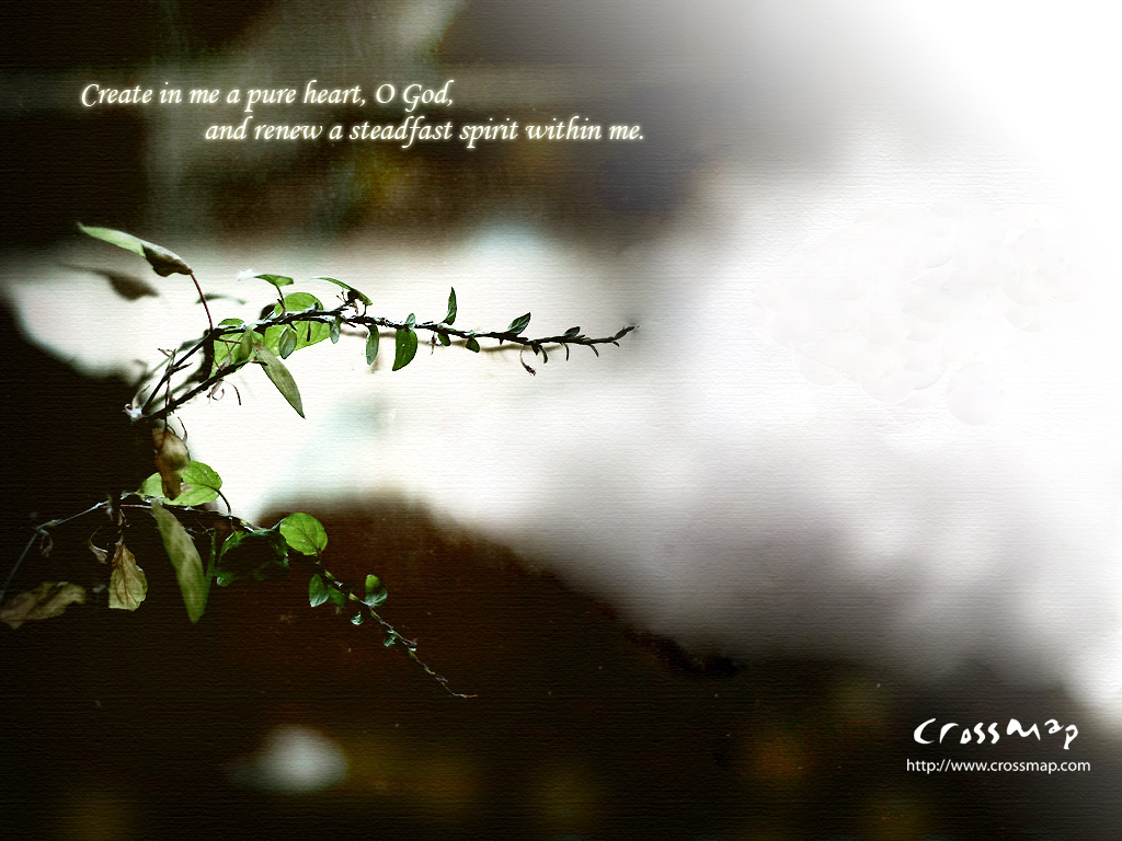 Create In Me A Pure Heart Wallpaper Christian And