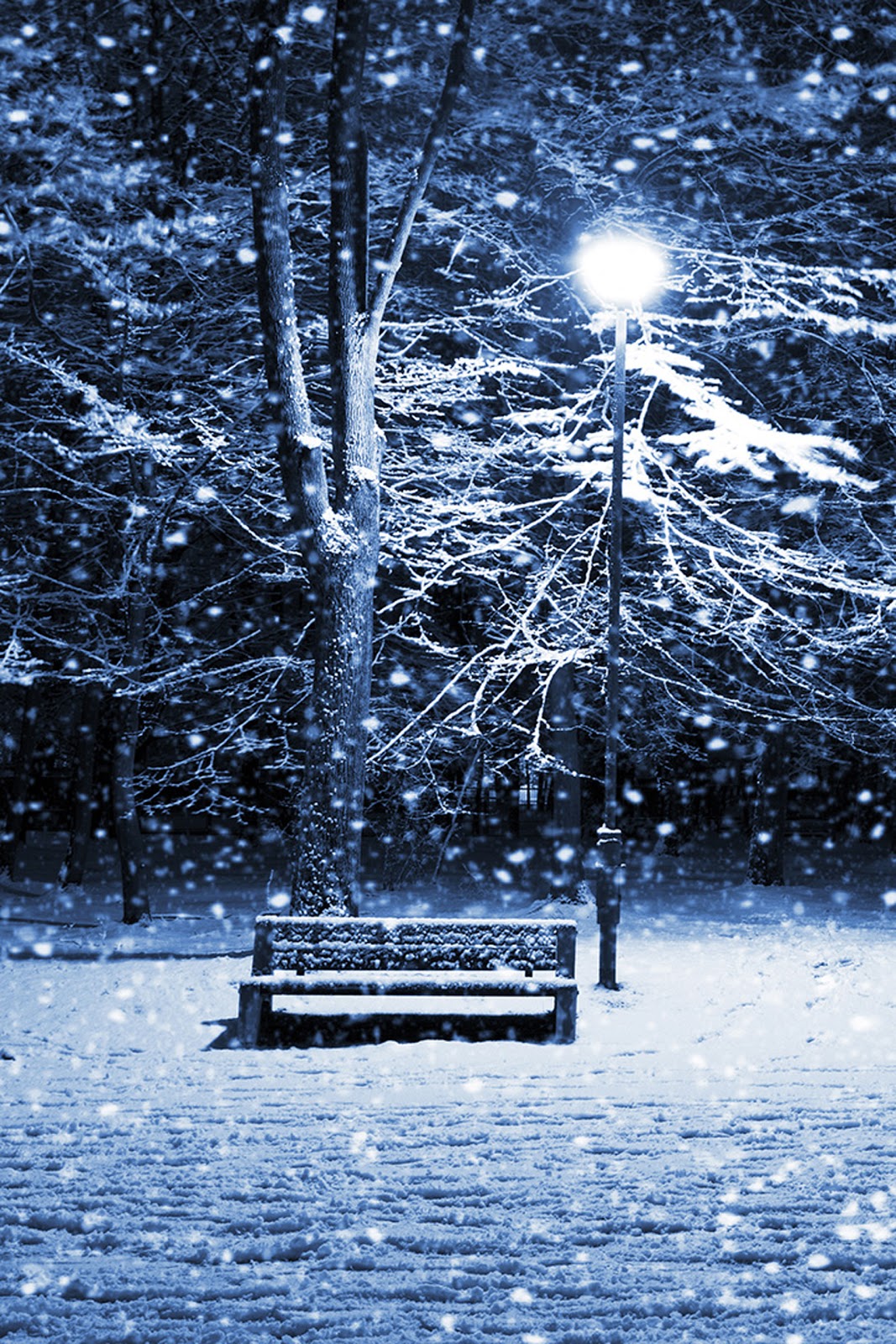 Winter iPhone Wallpaper Image Pictures Becuo
