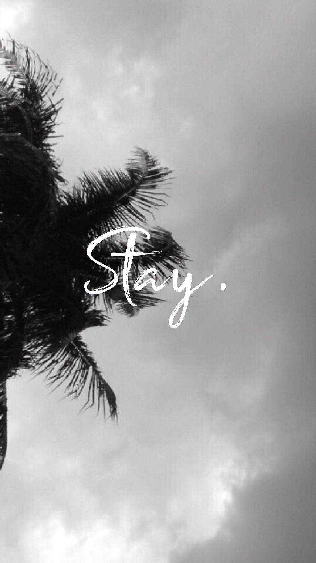 Aesthetic Background Wallpaper