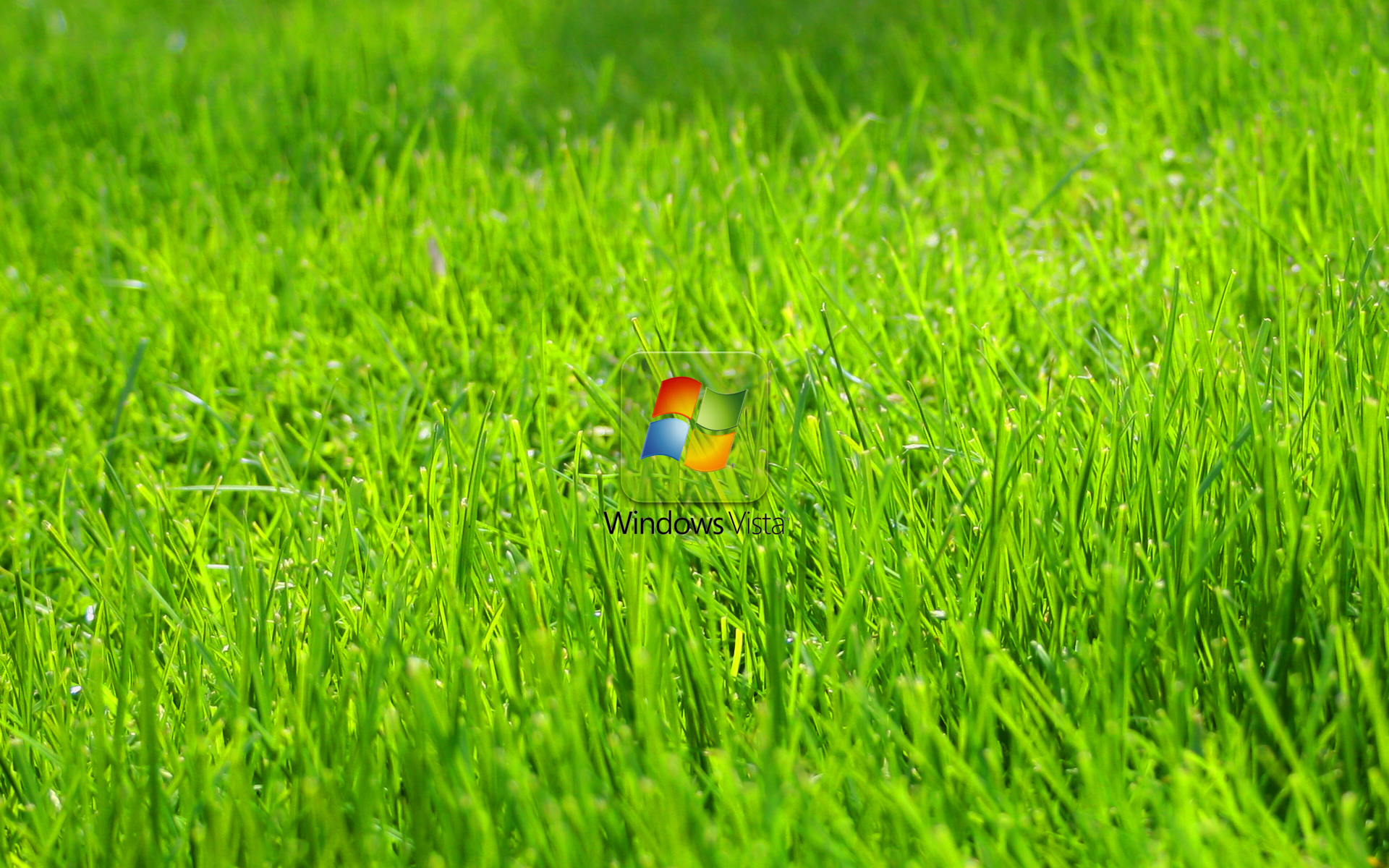 Windows Vista Green Grass Wallpaper Geekpedia