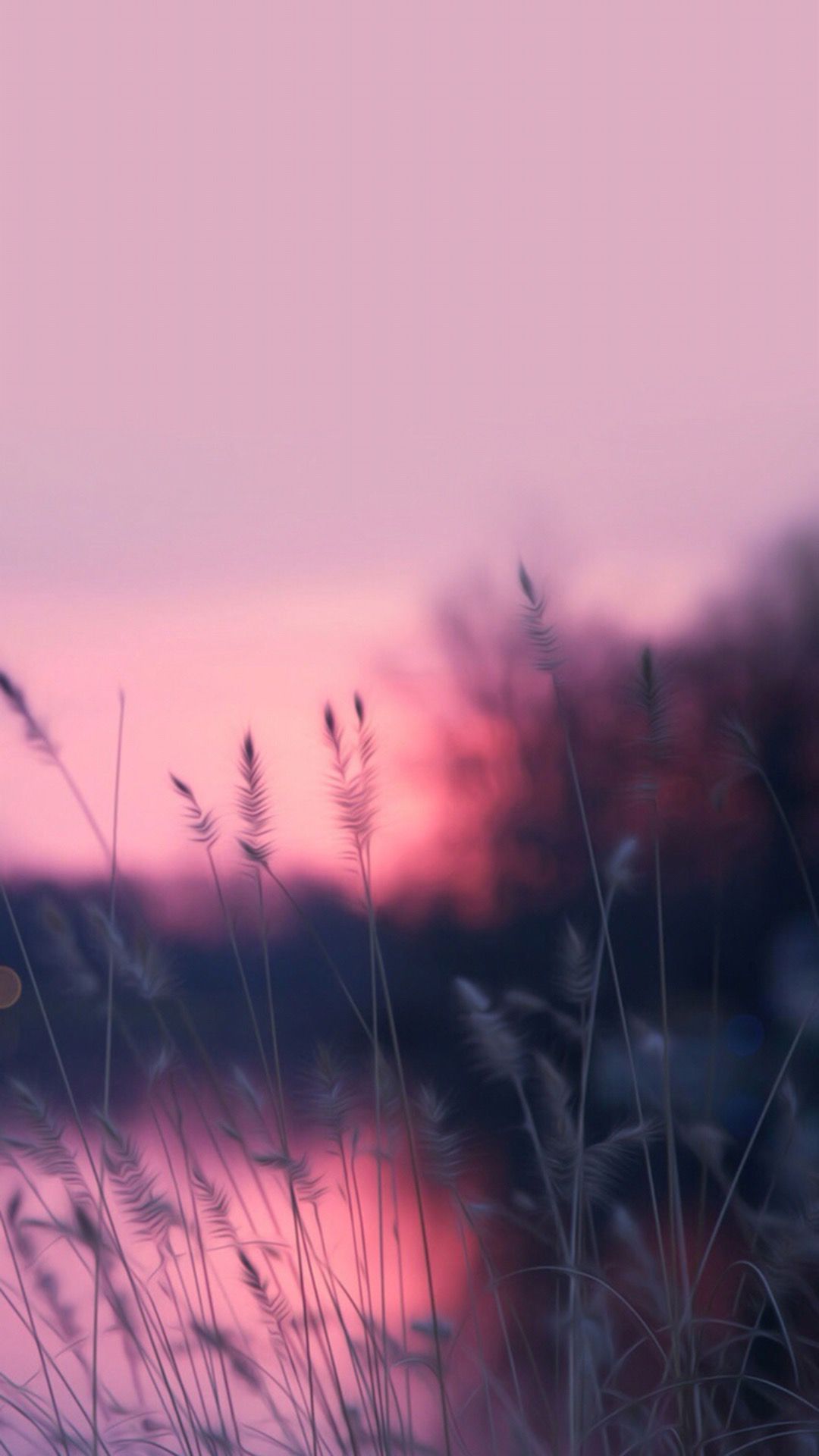 Pink iPhone X Wallpaper
