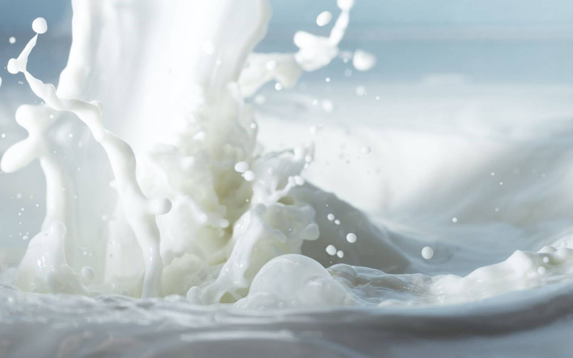 White Milk Liquid Macro Photography E785jumnljk6jmkq Wallpaper