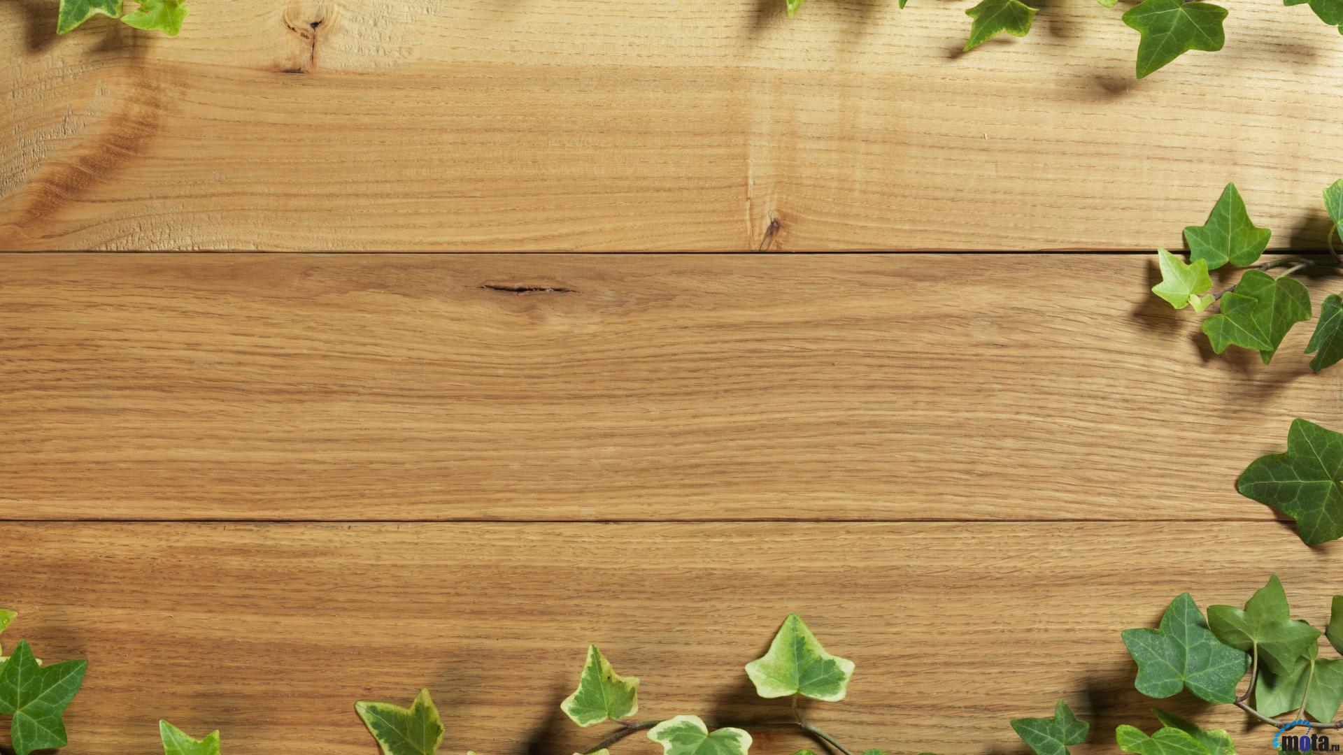 Texture gỗ là một trong những lựa chọn tuyệt vời để trang trí cho mọi không gian. Khi áp dụng texture gỗ, bạn sẽ tạo ra một không gian ấn tượng, phong cách và đầy tính thẩm mỹ. Hãy xem hình ảnh và khám phá tất cả các mẫu texture gỗ tuyệt đẹp.