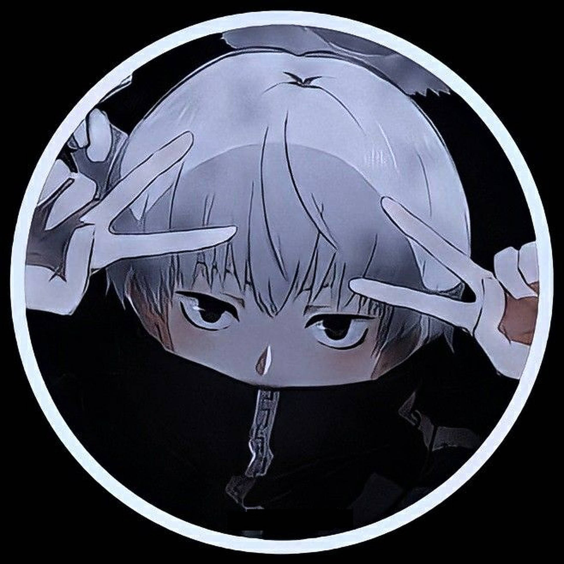 Anime Pfp Wallpaper