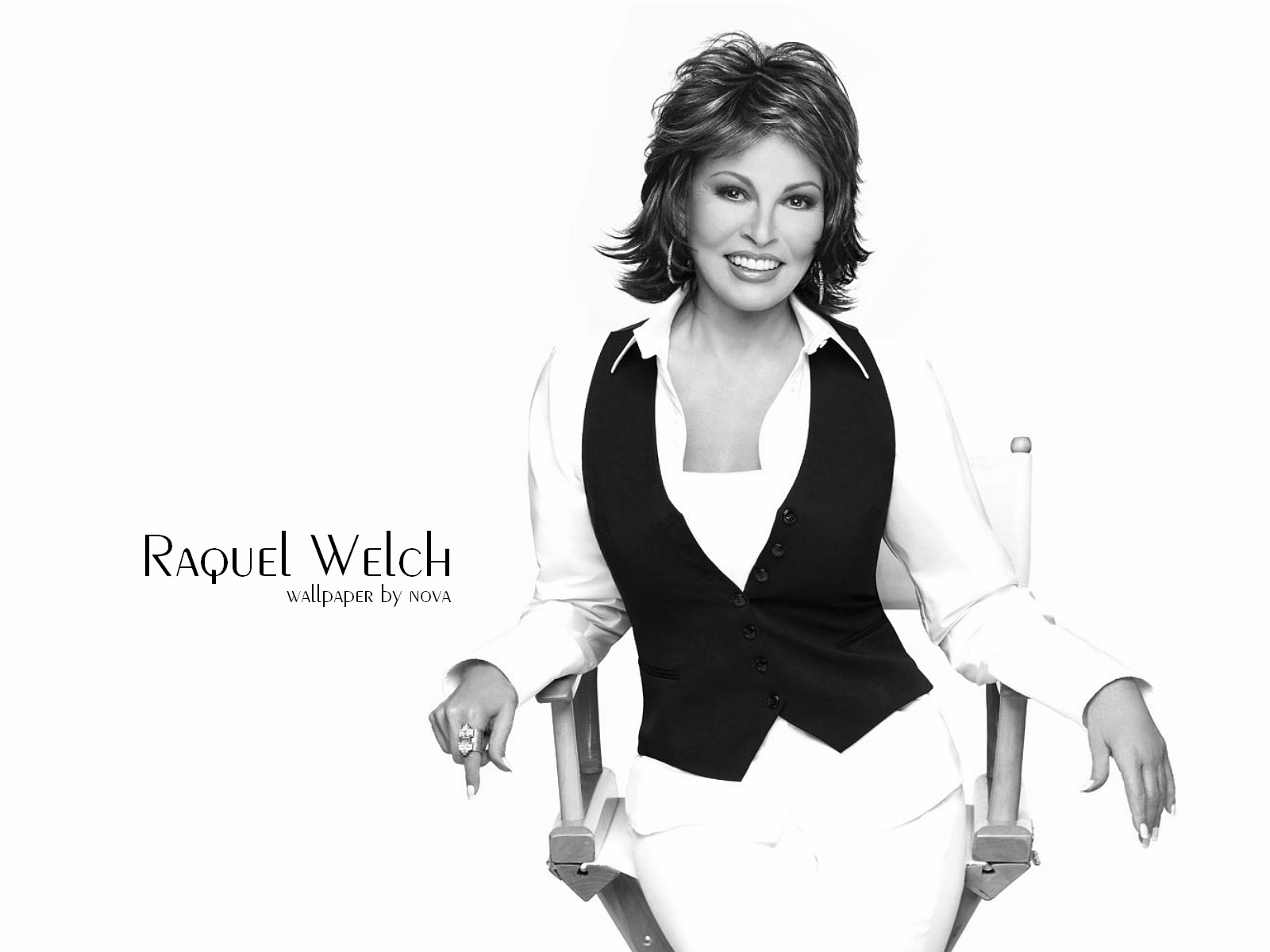 Raquel Welch Image HD Wallpaper And