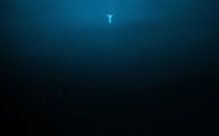 Wallpaper Dump