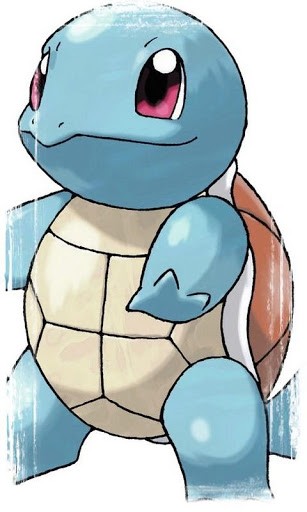 Squirtle Wallpaper And Background Application With Beautiful High