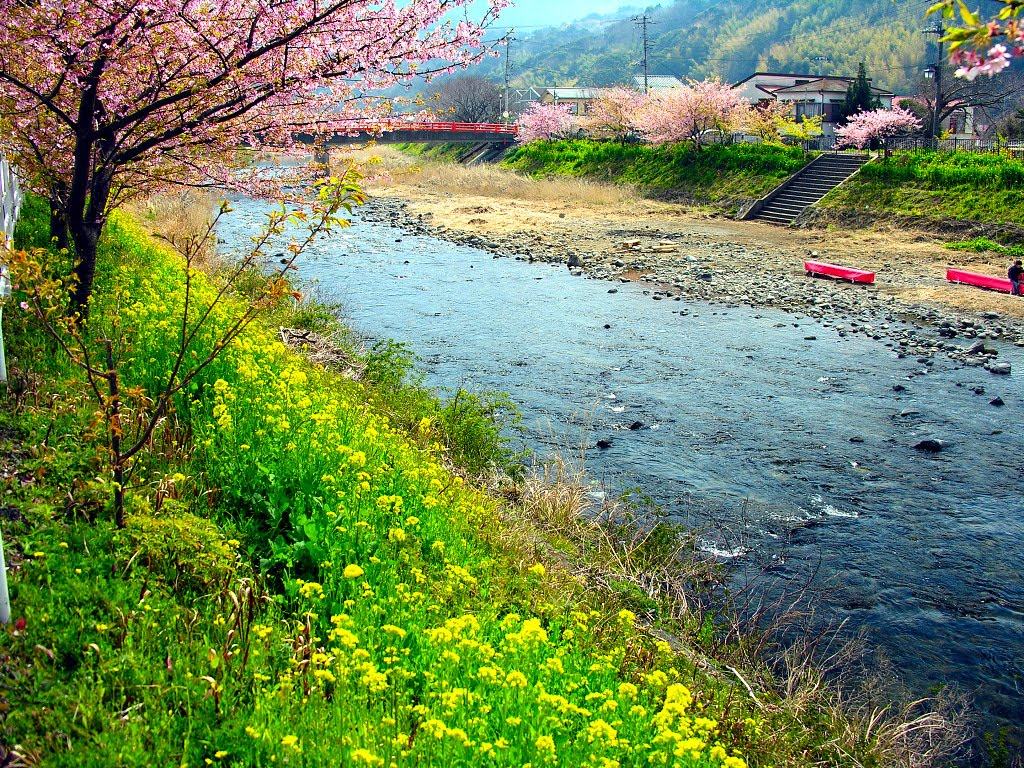 Wallpaper Background Beautiful Country Japan