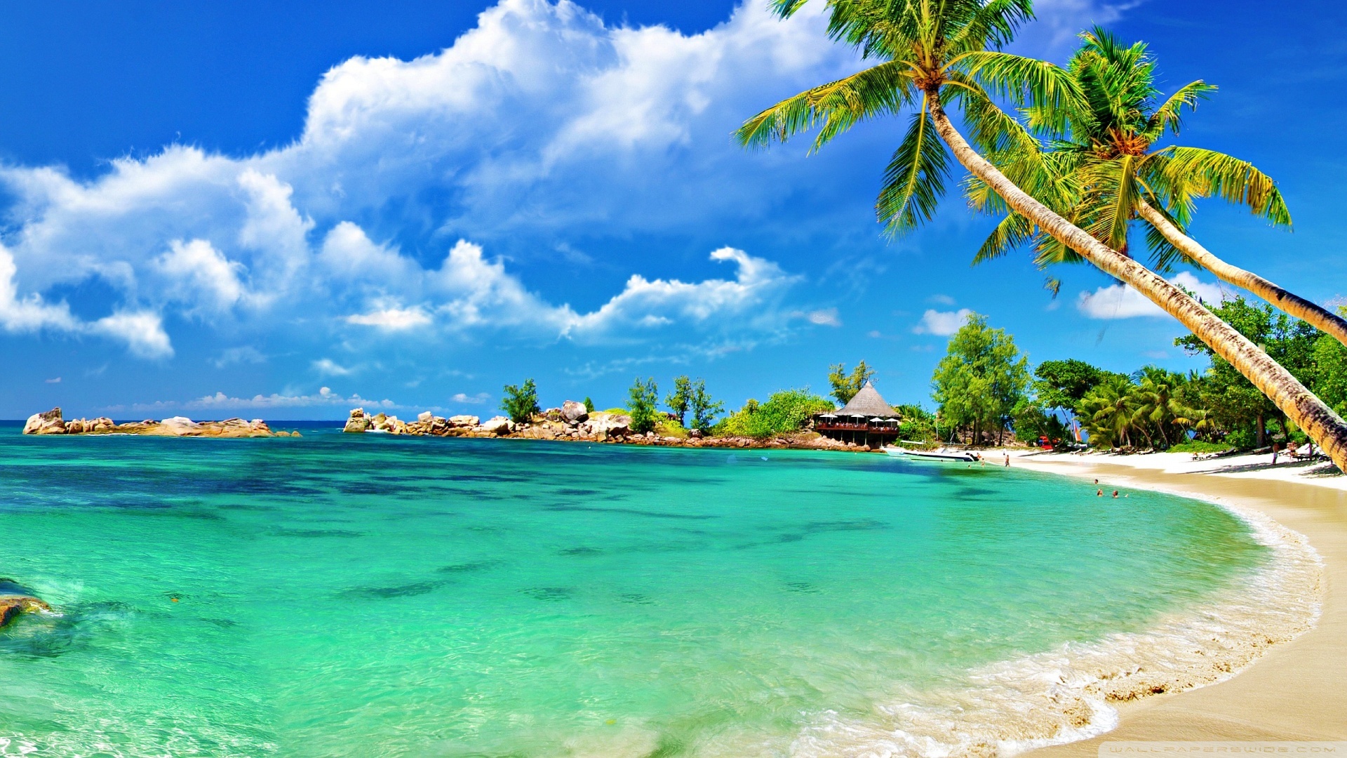 Tropical Beach Desktop Wallpaper Baltana