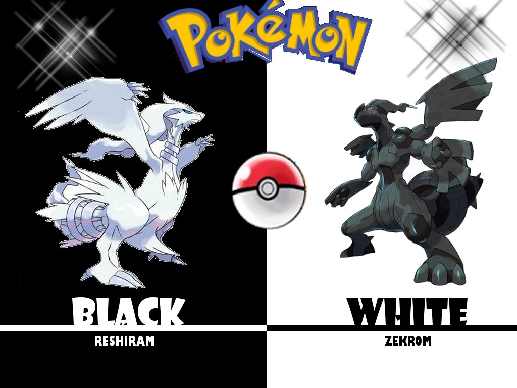 Pokemon Black And White Wallpaper For Puter Ing