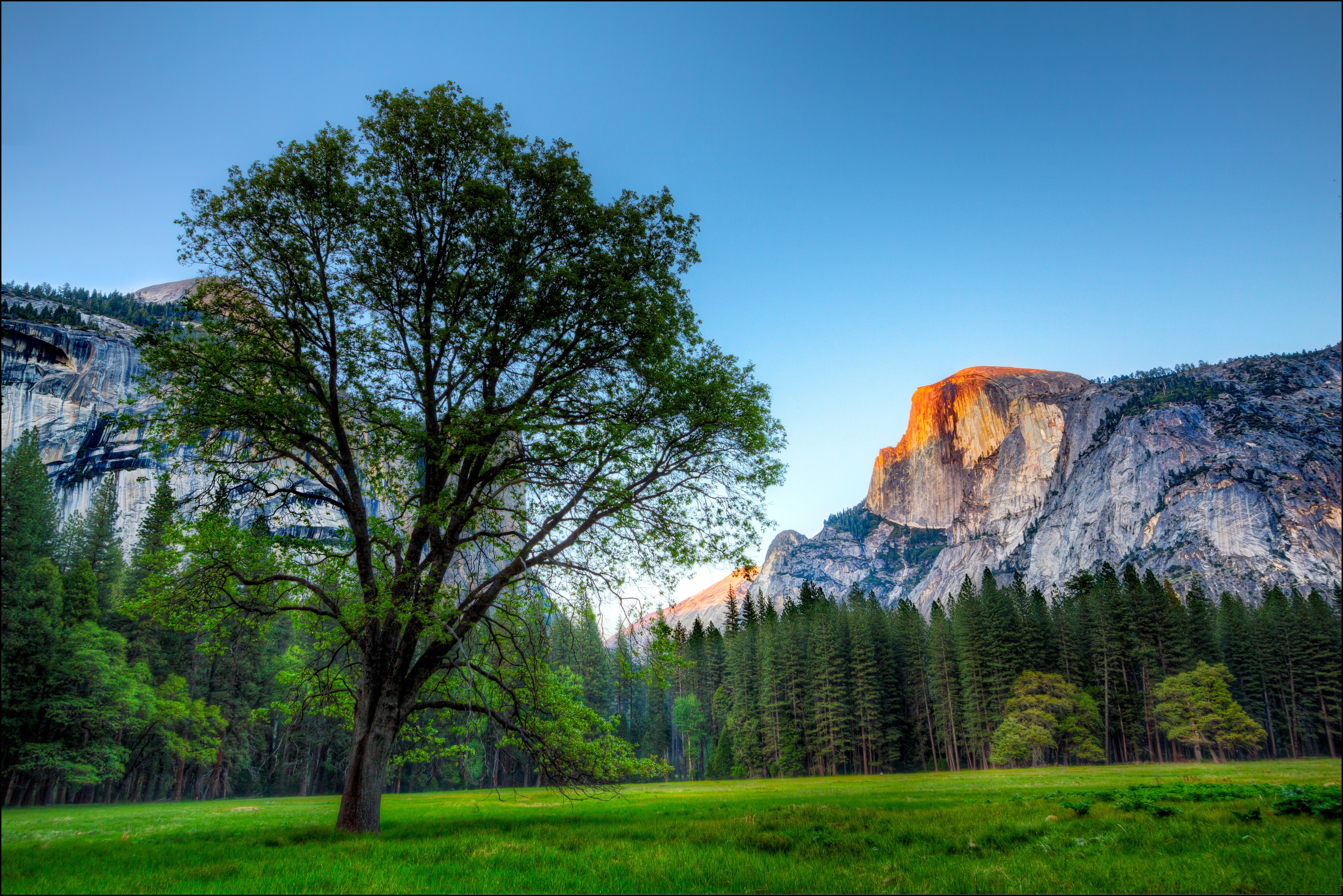Yosemite Wallpaper Background