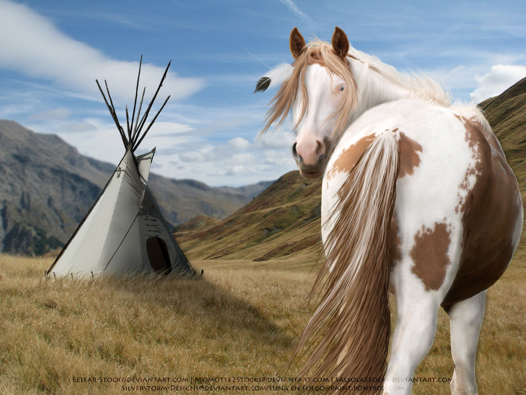 Native American Horses Wallpaper Paint By
