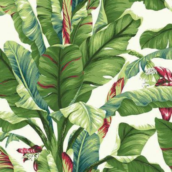 Banana Leaf Wallpaper Warehouse