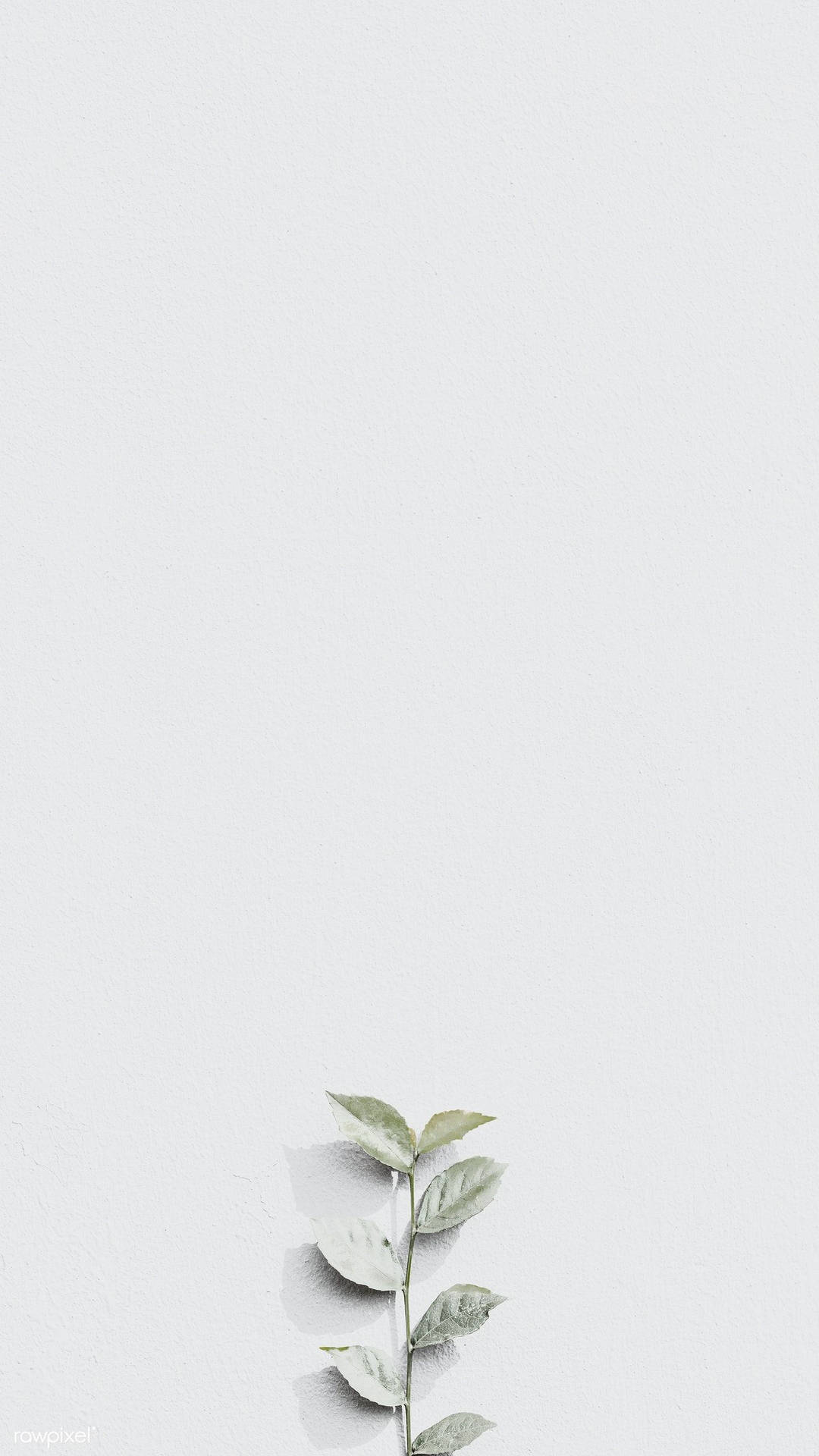 Grey Aesthetic Wallpaper