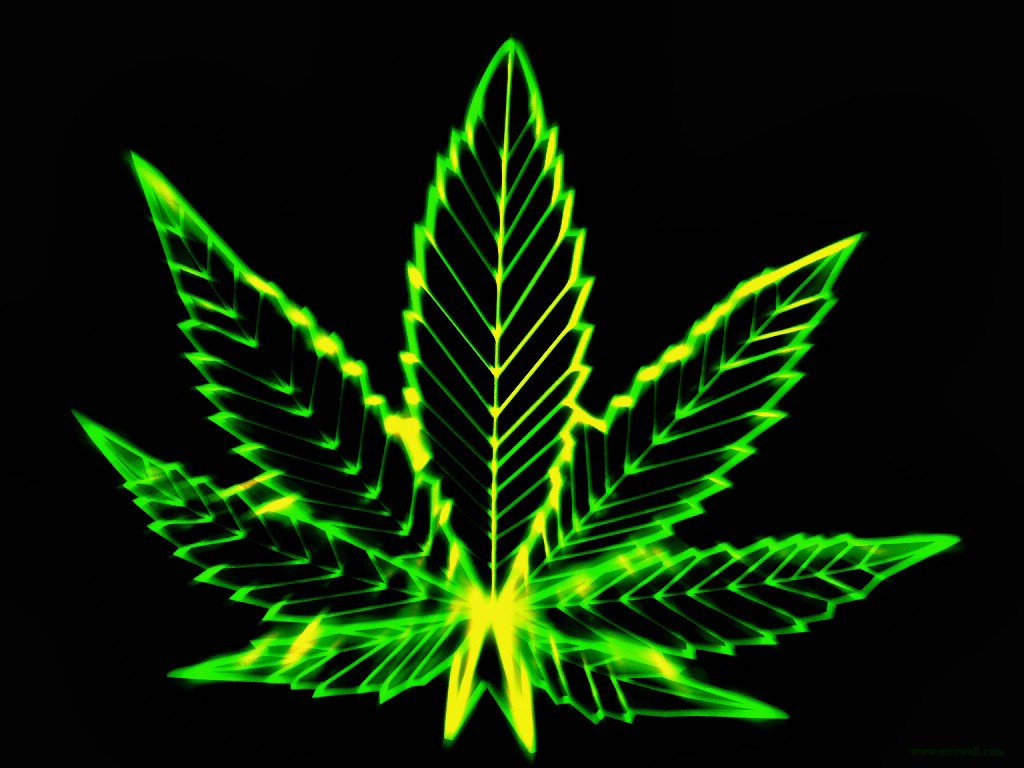Cool Weed Background Babes HD Wallpaper