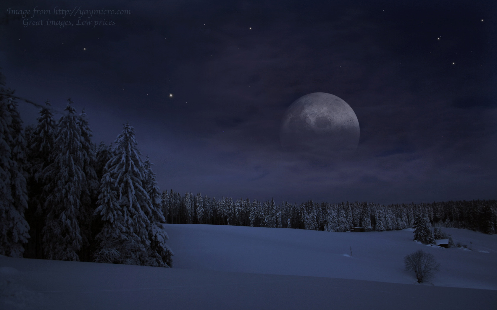 Winter forest at night   Snowflake Pack Photo 17564495 1680x1050