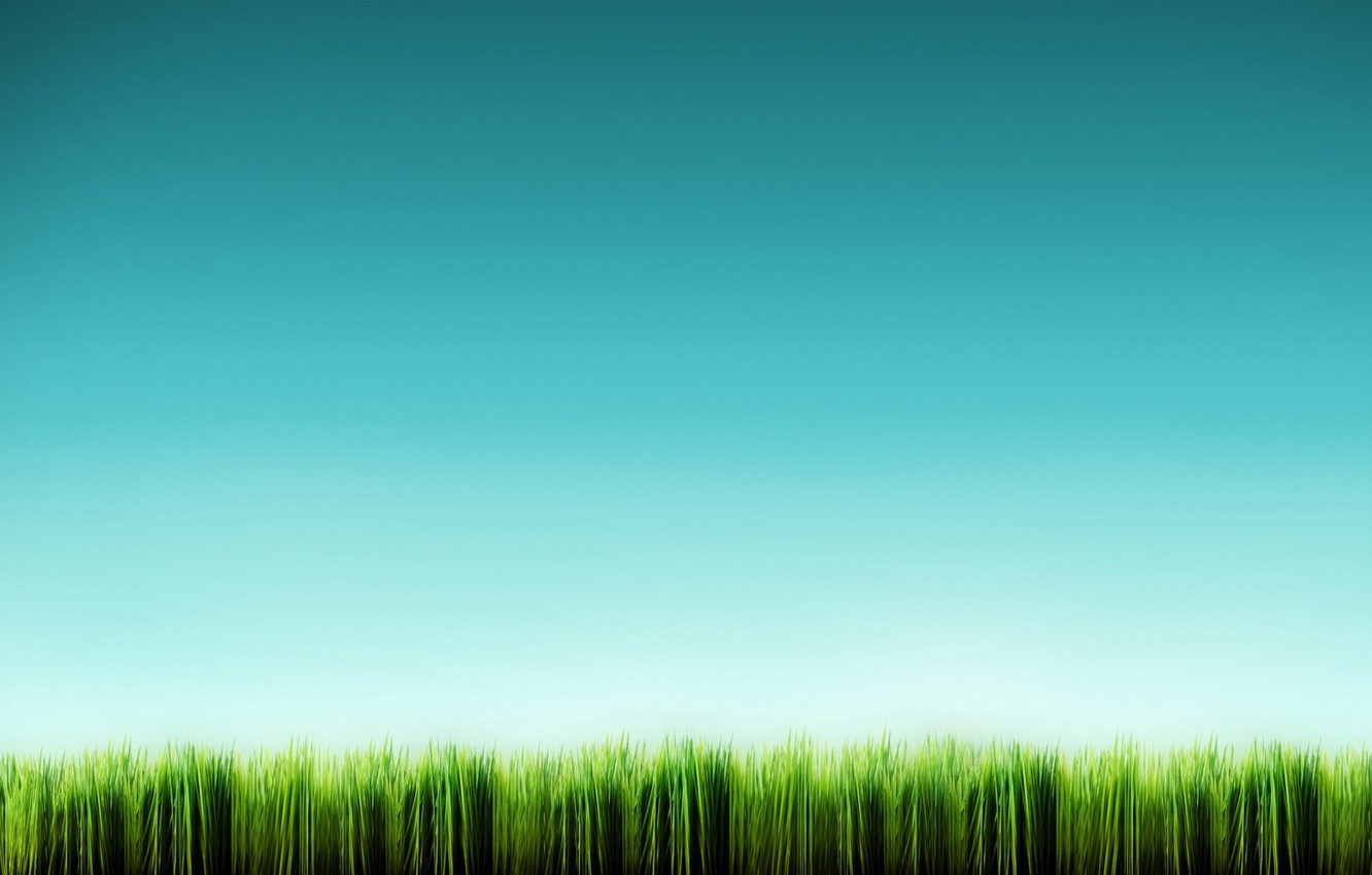 Wallpaper Blue Minimalism Grass Image For Desktop Section