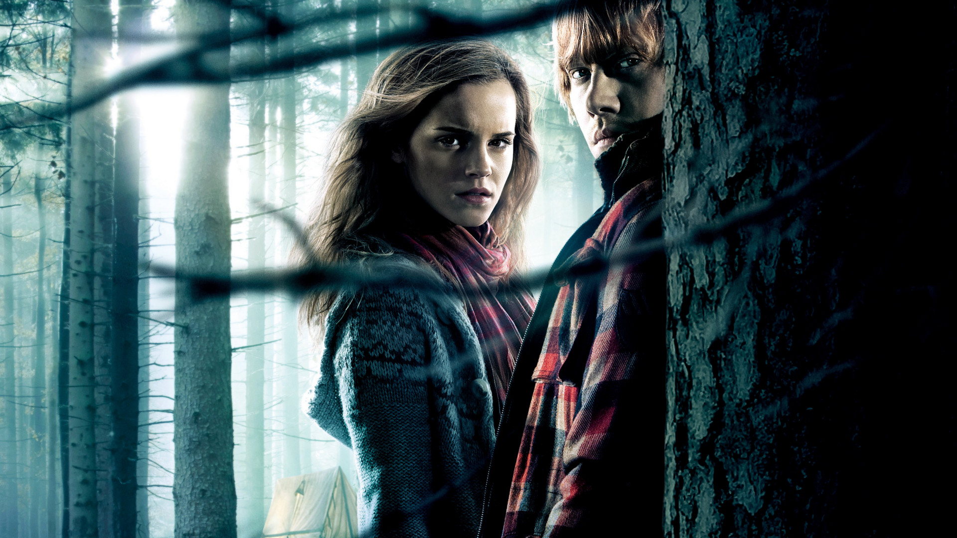Hermione Granger HD Wallpaper