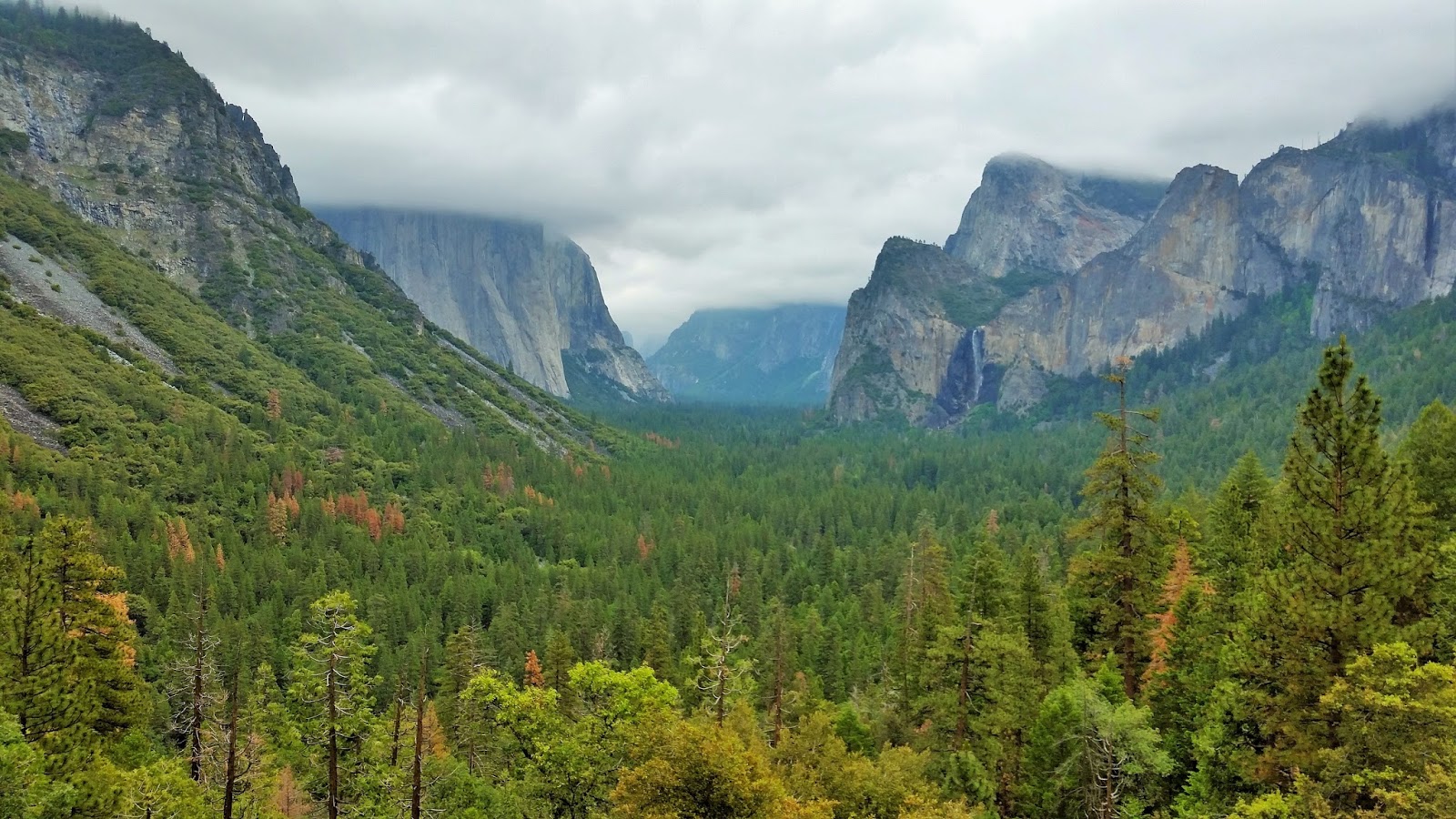 Yosemite Sam Background Tokkoro