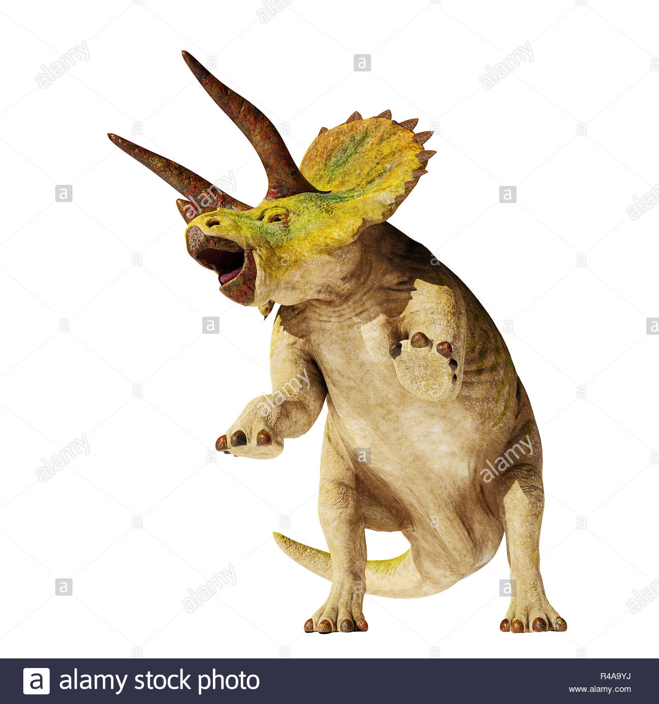 Triceratops Horridus Dinosaur In Action 3d Illustration Isolated