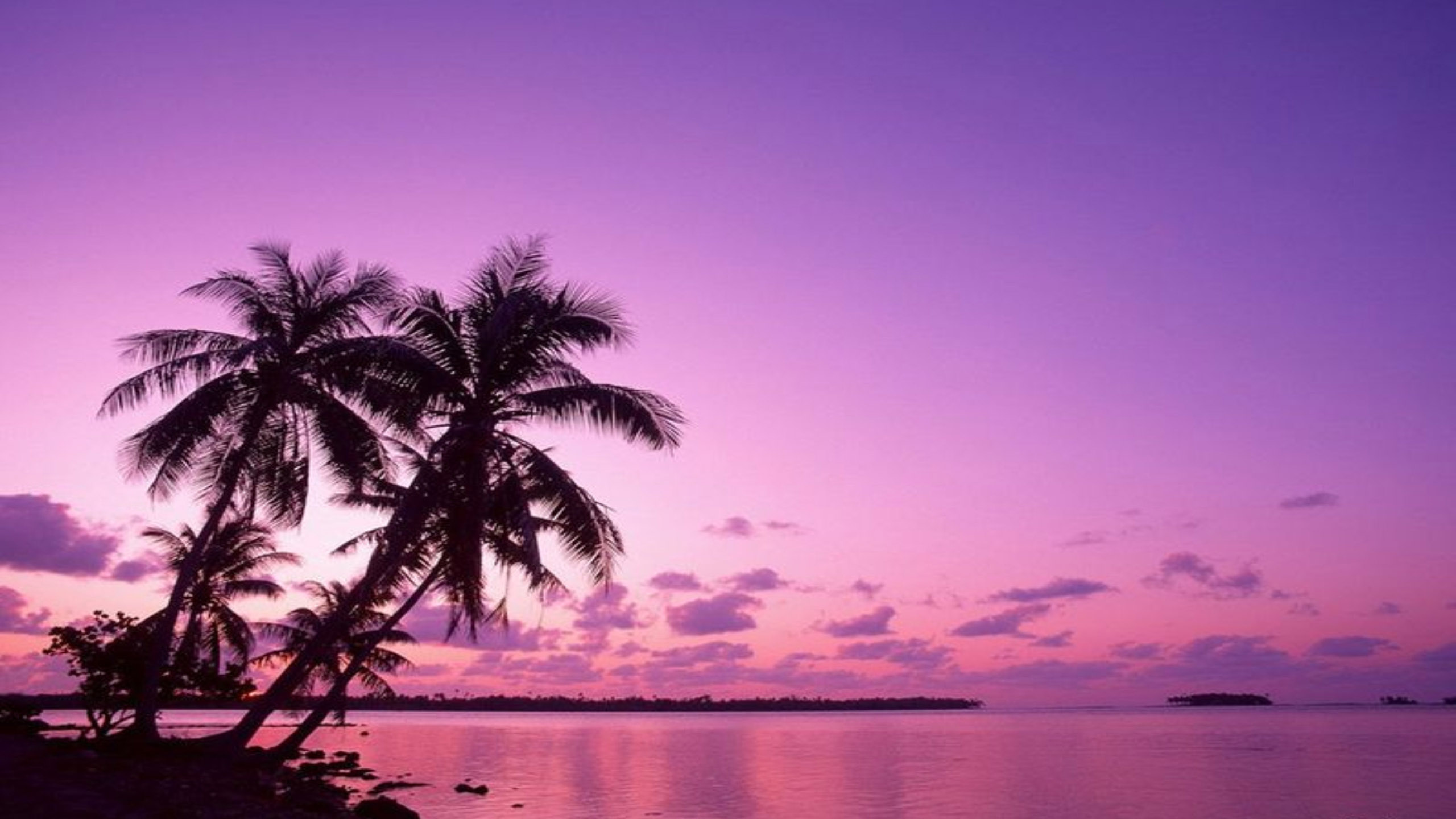 Purple Tropical Sky Wallpaper Puter Desktop