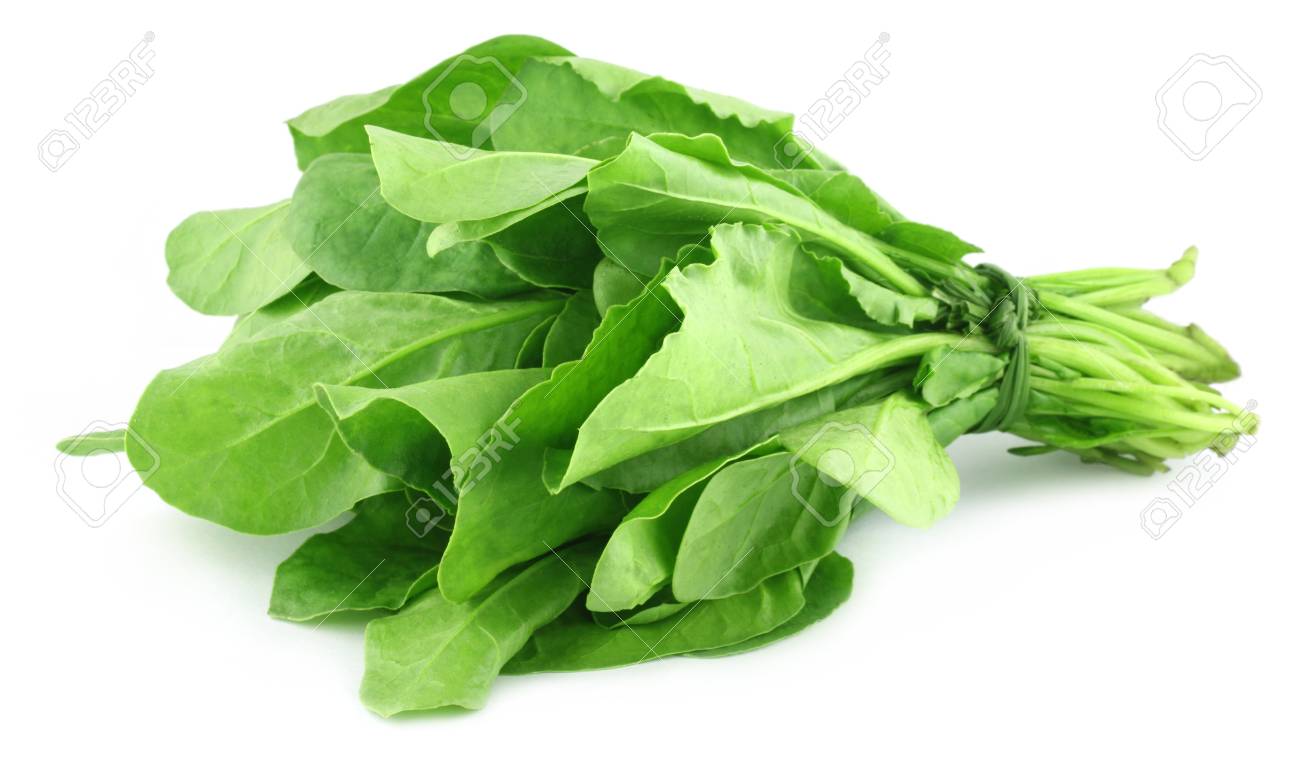 Close Upl Of Bundle Fresh Spinach Over White Background Stock