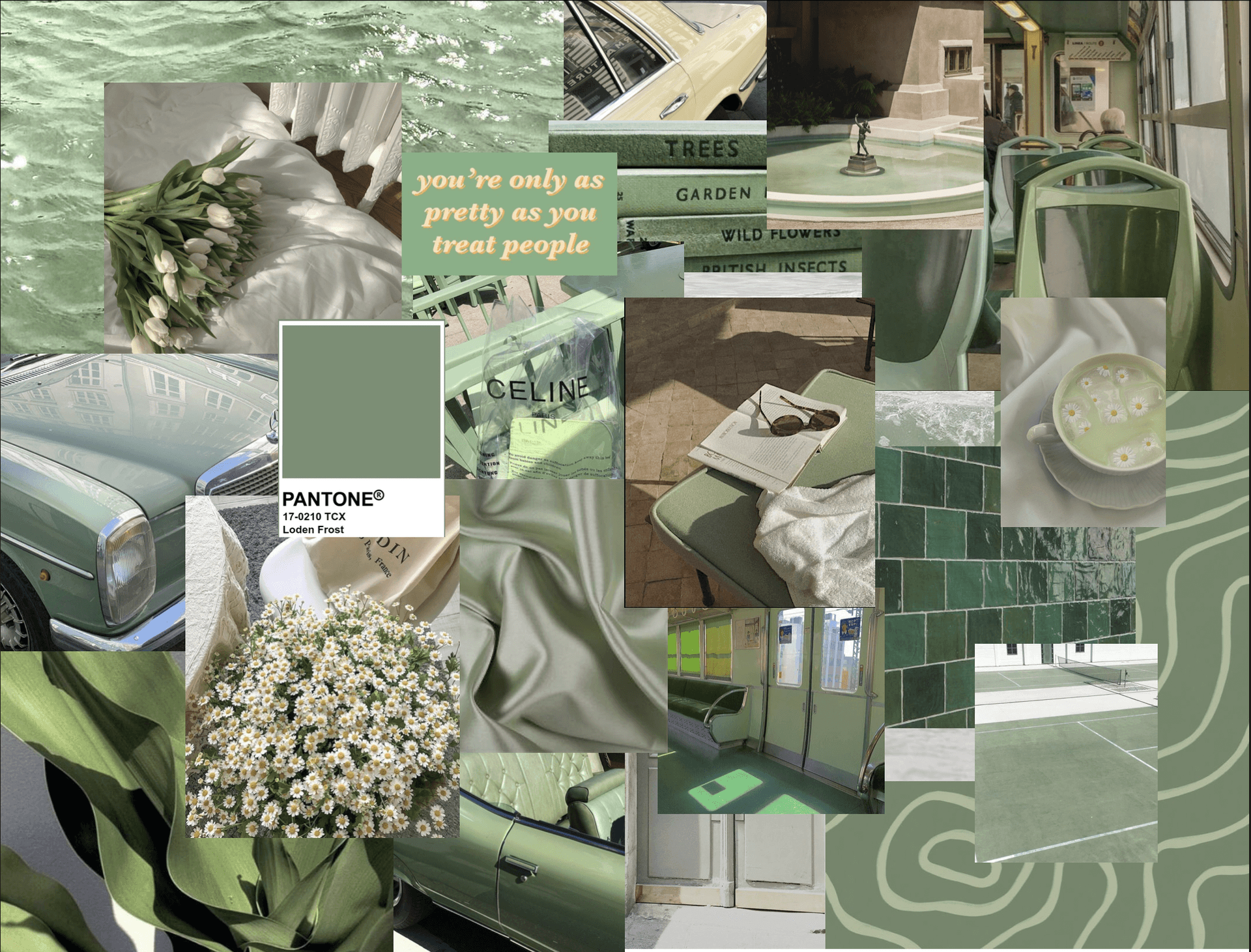 Sage Green Aesthetic Background Wallpaper
