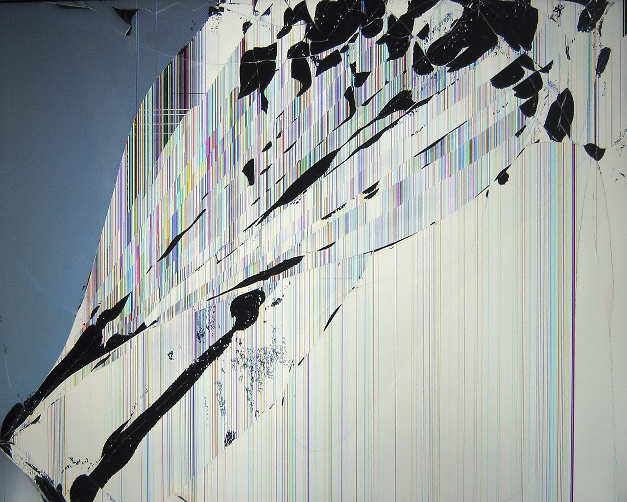 76 Broken Computer Screen Wallpaper On Wallpapersafari
