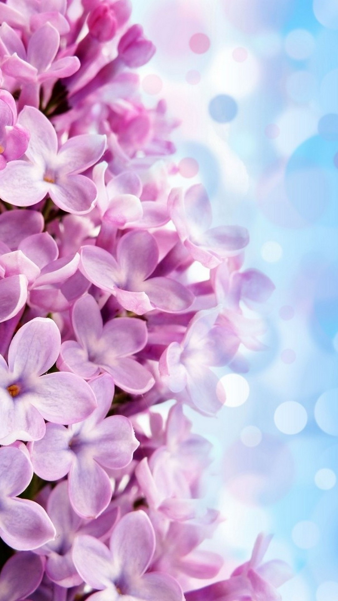 HD Flower Wallpaper For Android At Callum Winter