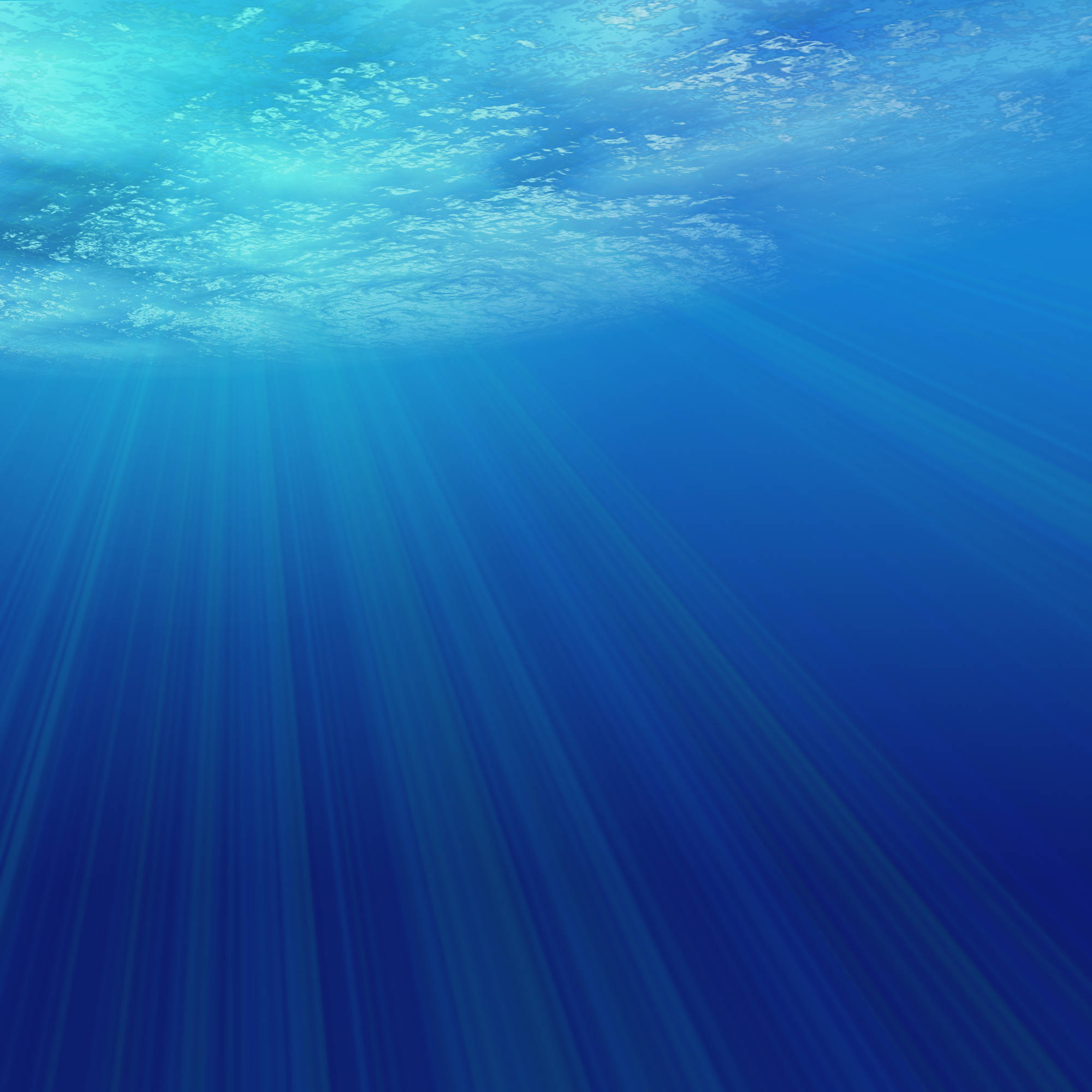 Ocean Underwater Wallpaper
