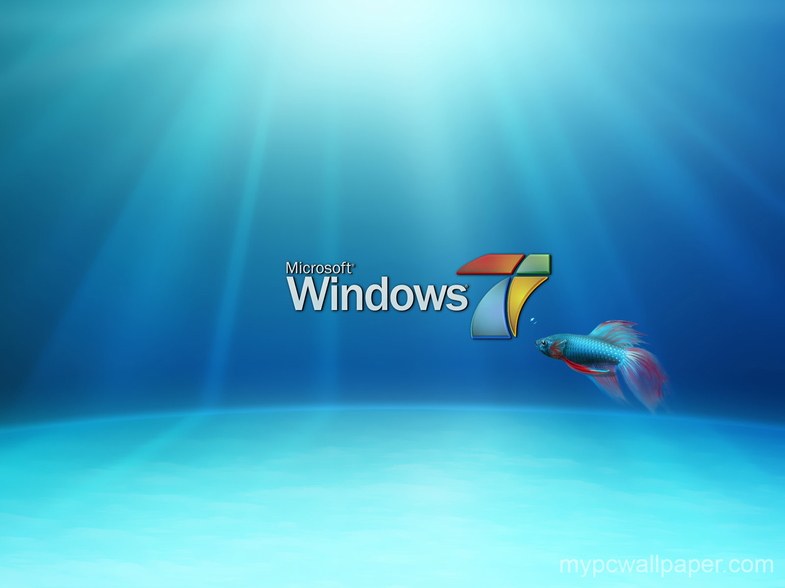 Windows7 New Wallpaper Fish1
